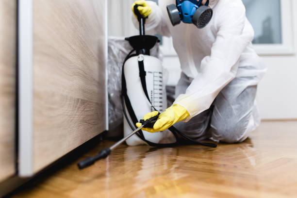 Best Emergency Pest Control  in Pine Hills, CA