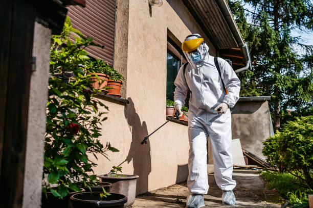 Best Rat Extermination Near Me  in Pine Hills, CA