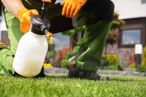 Best Ant Control Services  in Pine Hills, CA