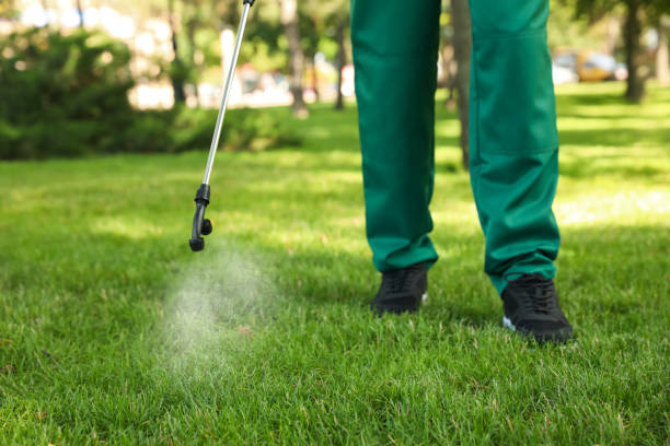 Best Pest Control Treatment  in Pine Hills, CA