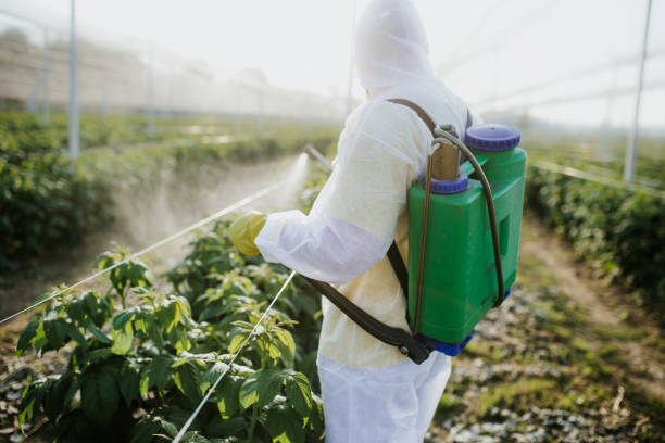 Pest Control Cost in Pine Hills, CA